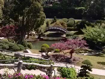 Huntington Library Unveils Restored Japanese Garden